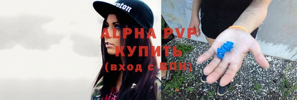 каннабис Новодвинск