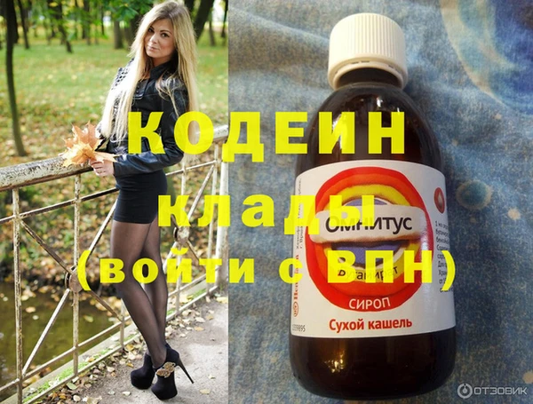 крисы Новозыбков