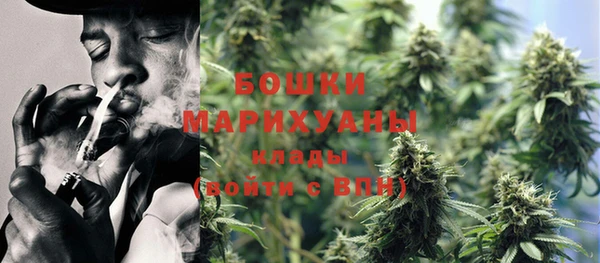 крисы Новозыбков