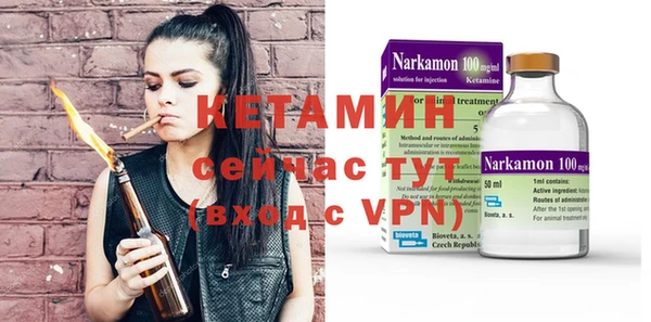 крисы Новозыбков