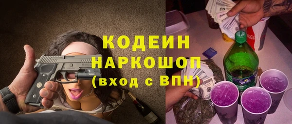 крисы Новозыбков