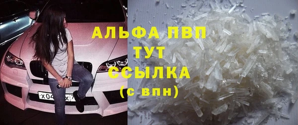 крисы Новозыбков